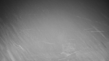 Chata Myslivna SKP Olomouc