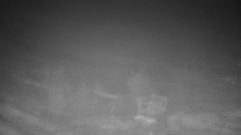 Chata Myslivna SKP Olomouc