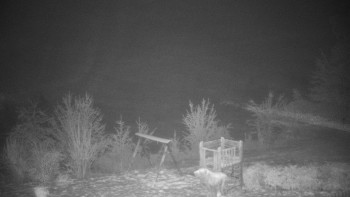 Chata Myslivna SKP Olomouc