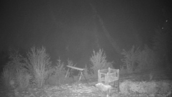 Chata Myslivna SKP Olomouc