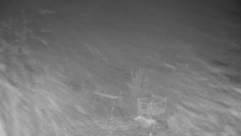 Chata Myslivna SKP Olomouc