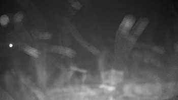 Chata Myslivna SKP Olomouc