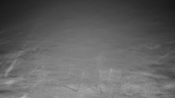 Chata Myslivna SKP Olomouc