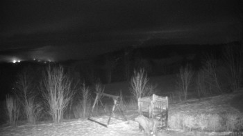 Chata Myslivna SKP Olomouc