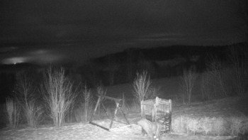 Chata Myslivna SKP Olomouc