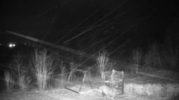 Chata Myslivna SKP Olomouc