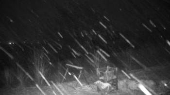 Chata Myslivna SKP Olomouc