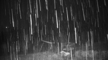 Chata Myslivna SKP Olomouc