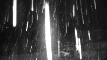 Chata Myslivna SKP Olomouc