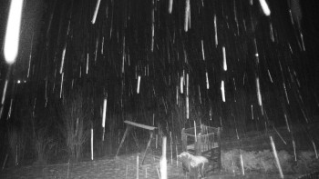 Chata Myslivna SKP Olomouc