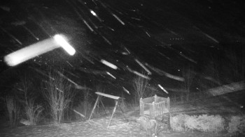 Chata Myslivna SKP Olomouc