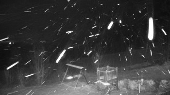 Chata Myslivna SKP Olomouc