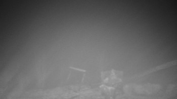 Chata Myslivna SKP Olomouc