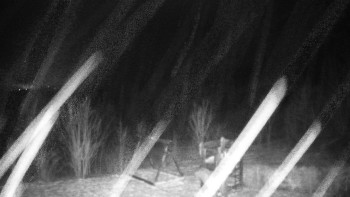 Chata Myslivna SKP Olomouc