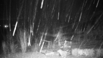 Chata Myslivna SKP Olomouc