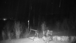 Chata Myslivna SKP Olomouc - Pohled do krajiny - 26.3.2026 v 00:30