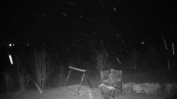 Chata Myslivna SKP Olomouc