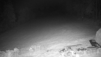 Snímek    11.5.2025 v 03:30
