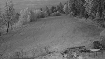Snímek    11.5.2025 v 04:30