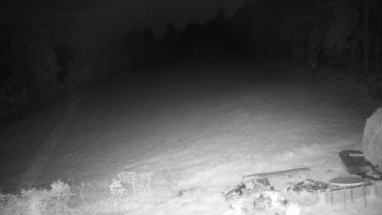 Snímek    13.5.2025 v 22:00