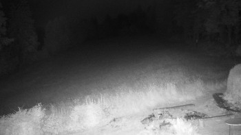 Snímek    5.7.2025 v 03:00