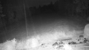 Chata Myslivna SKP Olomouc - Běžecký lyžařský areál Nová Ves - 12.7.2025 v 02:30