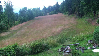 Snímek    12.7.2025 v 12:30