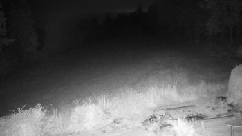 Snímek    12.7.2025 v 22:30
