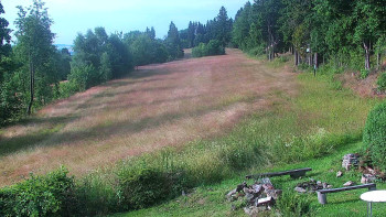 Snímek    13.7.2025 v 08:00