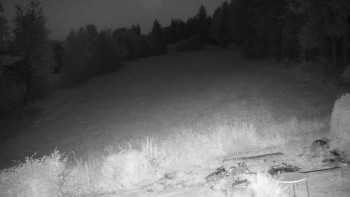 Snímek    14.7.2025 v 03:00