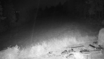 Snímek    15.7.2025 v 03:30