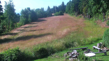 Snímek    15.7.2025 v 09:00