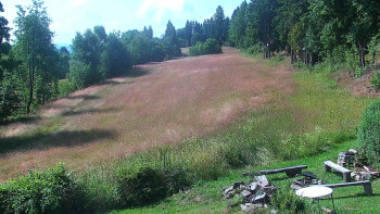 Snímek    15.7.2025 v 10:00
