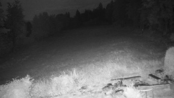 Snímek    16.7.2025 v 03:30