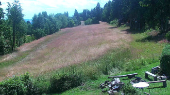 Snímek    16.7.2025 v 13:30