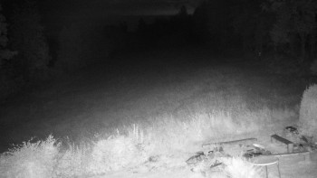 Snímek    16.7.2025 v 22:30