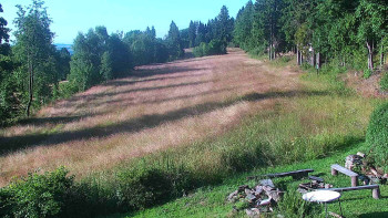 Snímek    19.7.2025 v 07:30