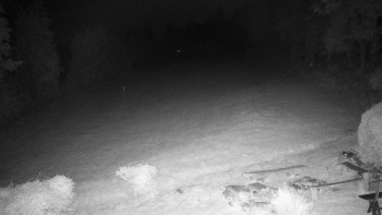 Snímek    28.8.2025 v 03:30