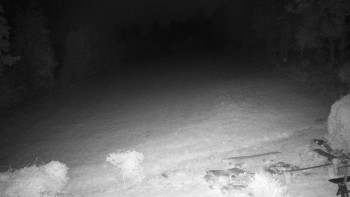 Snímek    28.8.2025 v 04:30