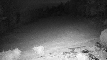 Snímek    13.9.2025 v 03:00