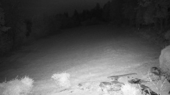 Snímek    13.9.2025 v 03:30