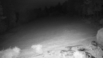 Snímek    13.9.2025 v 04:30