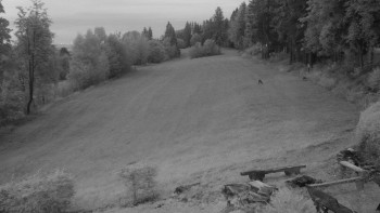 Snímek    13.9.2025 v 06:00