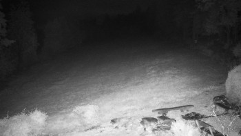 Snímek    14.9.2025 v 05:00