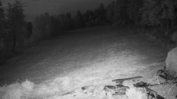 Snímek    15.9.2025 v 05:30