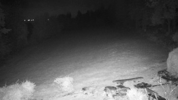 Snímek    15.9.2025 v 20:00