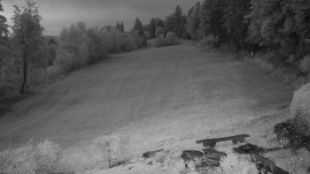 Snímek    16.9.2025 v 06:00