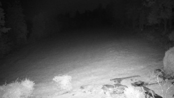 Snímek    16.9.2025 v 22:30