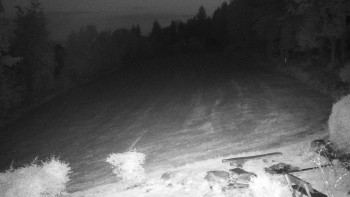 Snímek    17.9.2025 v 20:00