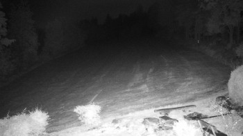 Snímek    17.9.2025 v 20:30